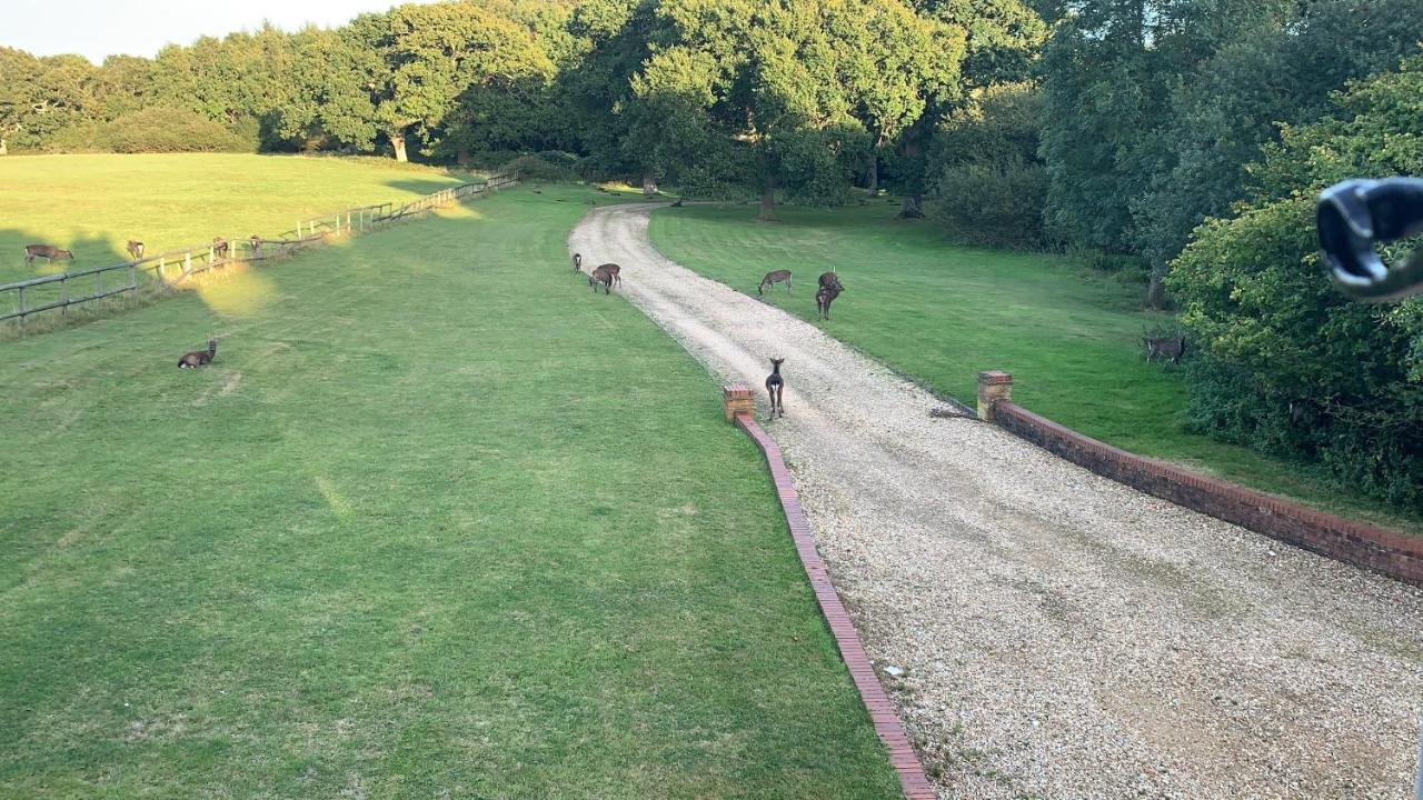 Villa Yards Brake On 40 Acres Of Private Land Langton Matravers Exterior foto