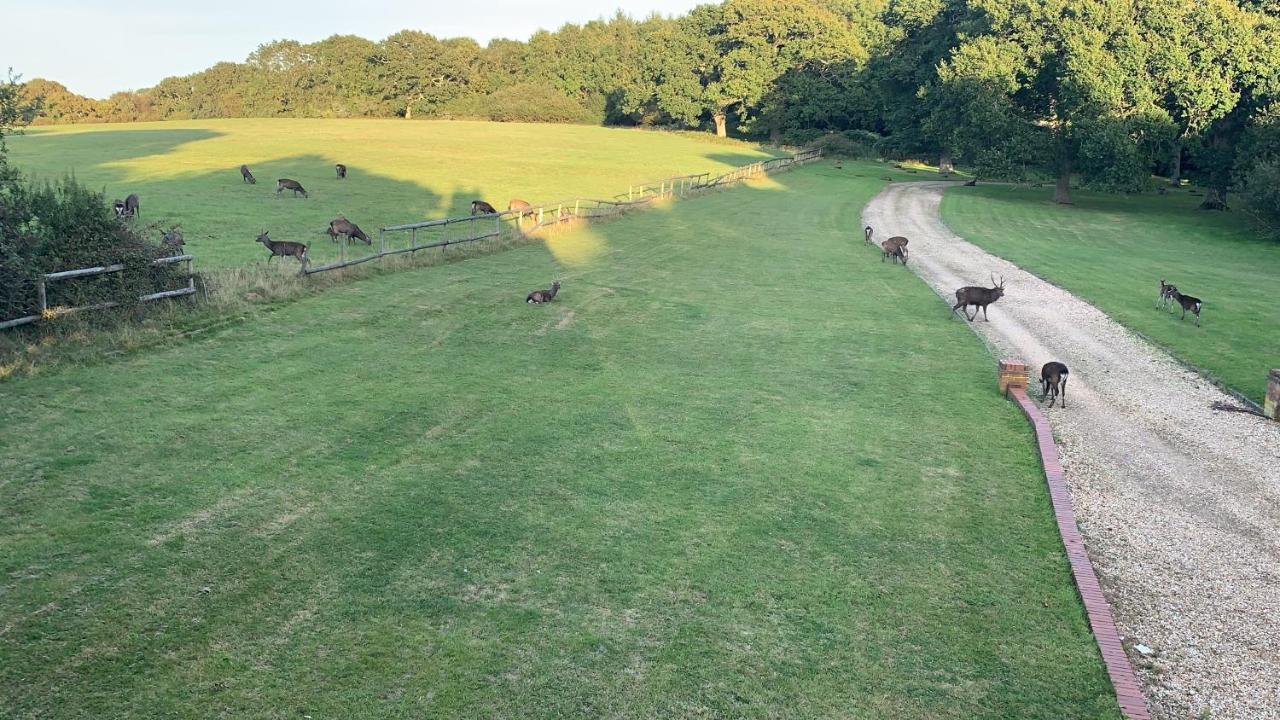 Villa Yards Brake On 40 Acres Of Private Land Langton Matravers Exterior foto