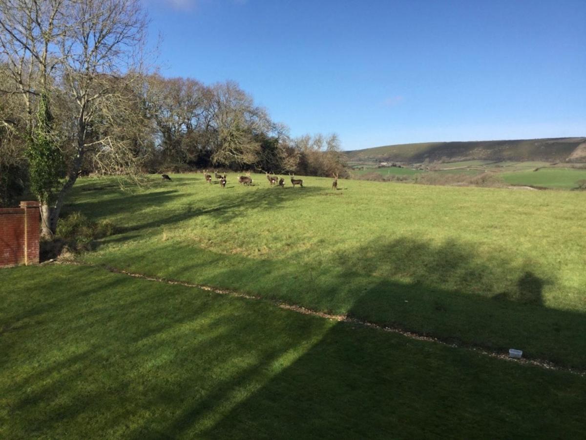 Villa Yards Brake On 40 Acres Of Private Land Langton Matravers Exterior foto