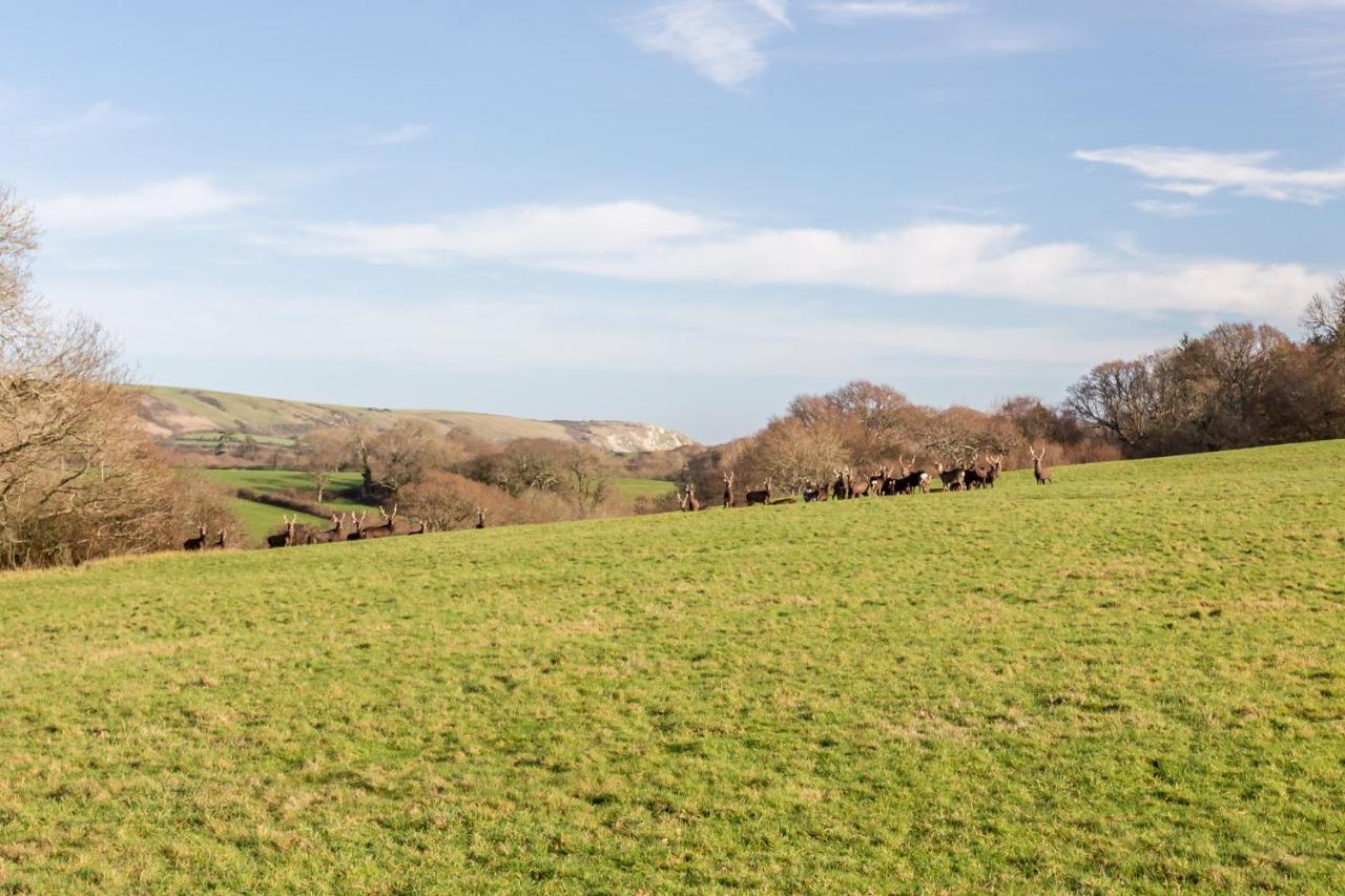 Villa Yards Brake On 40 Acres Of Private Land Langton Matravers Exterior foto